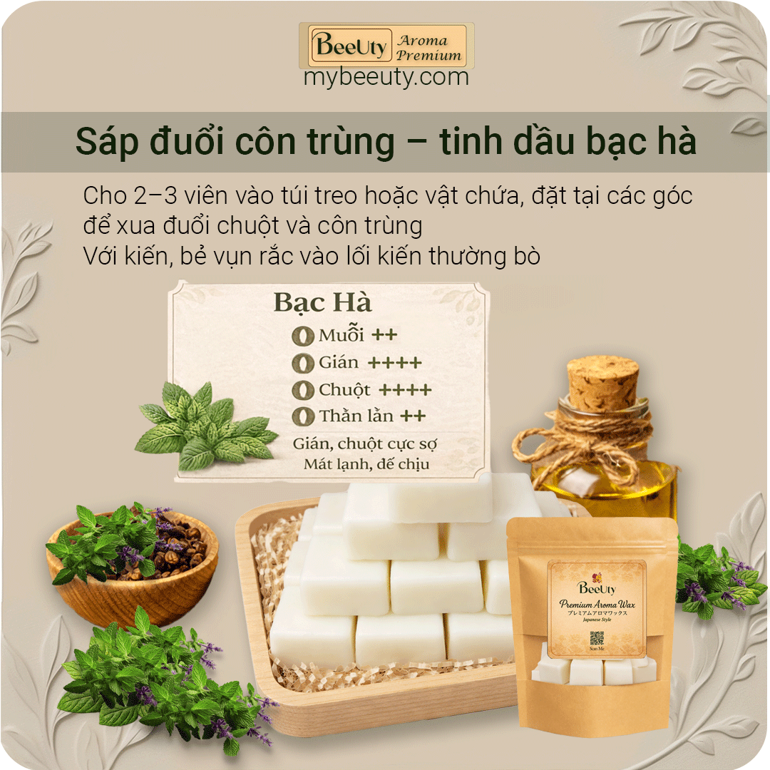Sáp đuổi chuột tinh dầu bạc hà – 12 viên (6 túi lưới)